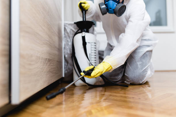 Best Cockroach Control Services  in Bryn Mawr Skyy, WA