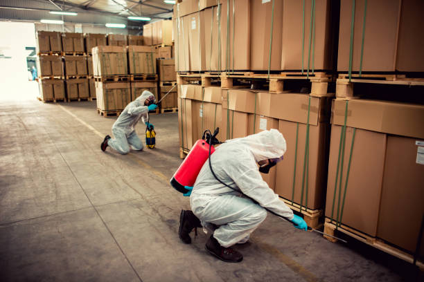 Best Affordable Pest Control Services  in Bryn Mawr Skyy, WA