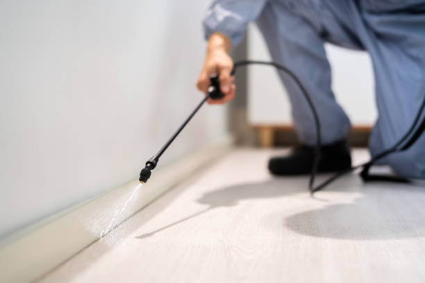 Best Best Pest Control Companies  in Bryn Mawr Skyy, WA