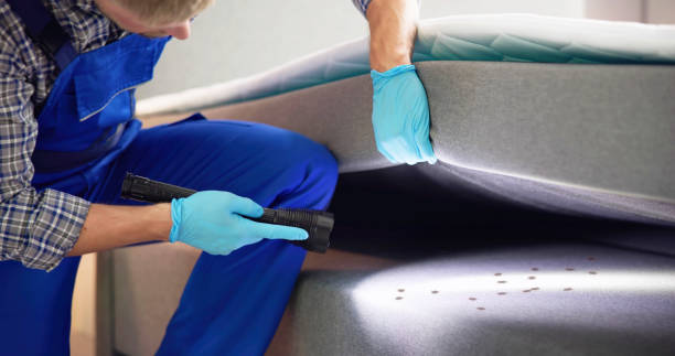 Best Pest Inspection Near Me  in Bryn Mawr Skyy, WA