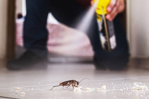 Best Residential Pest Control  in Bryn Mawr Skyy, WA