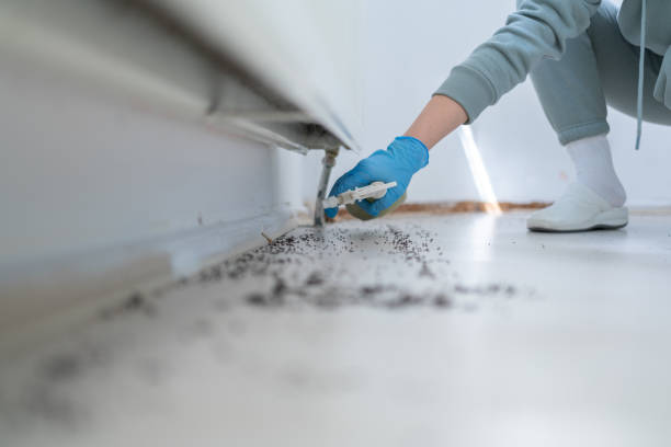Best Commercial Pest Control Services  in Bryn Mawr Skyy, WA