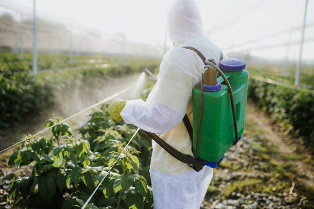 Pest Prevention Services in Bryn Mawr Skyway, WA